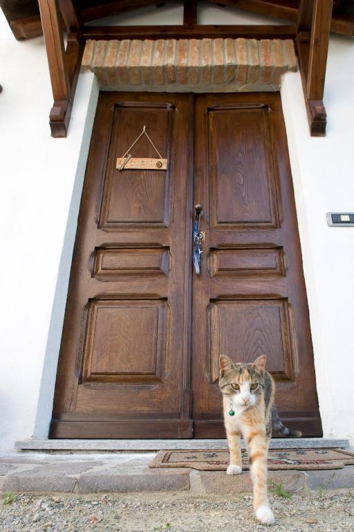 Cascina Il Ginepro Casa de hóspedes Sinio Exterior foto